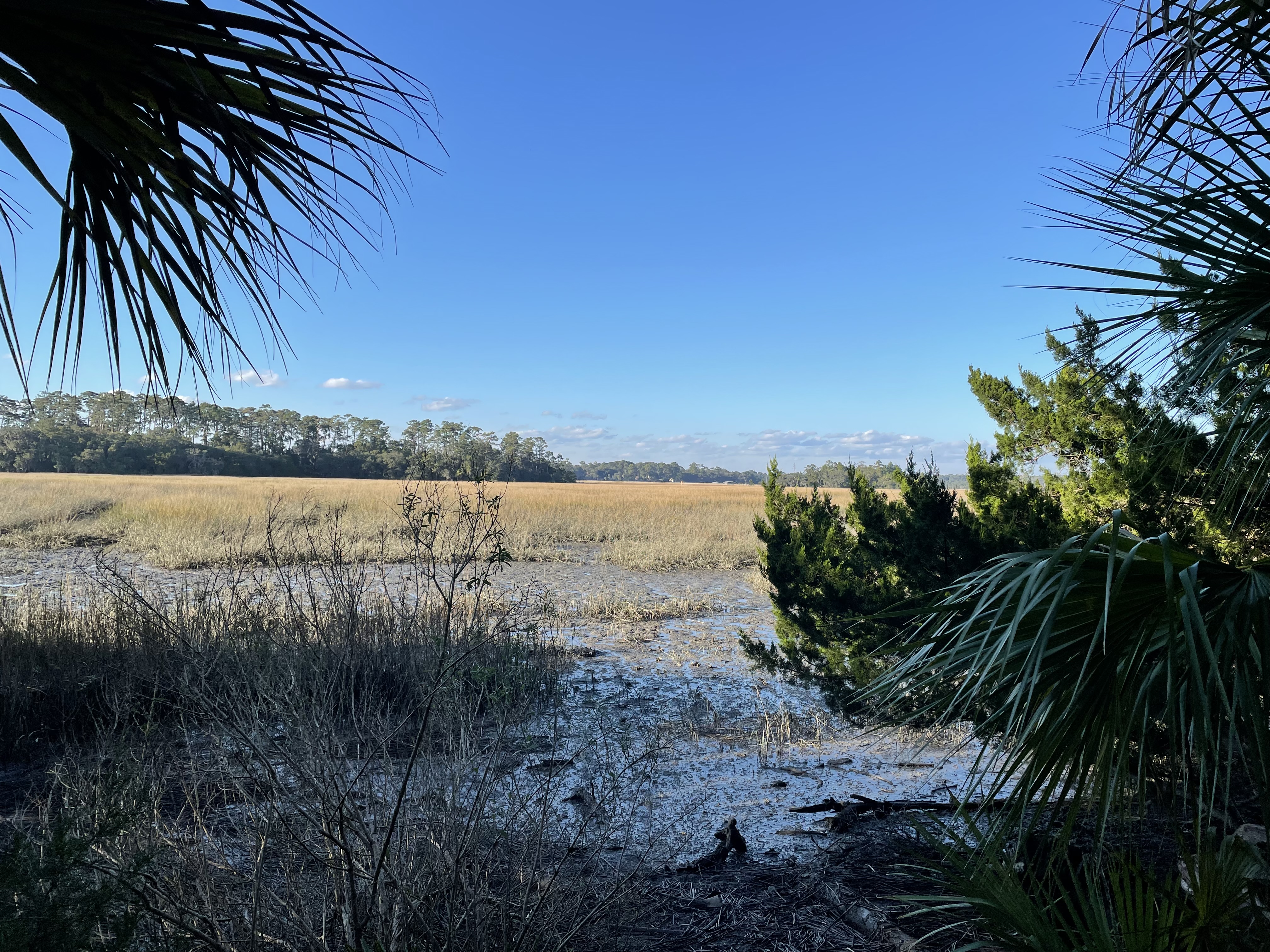 Skidaway Island State Park