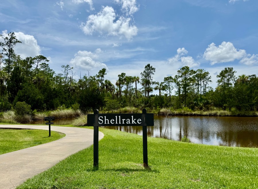 100 Reasons Why I Love THE LANDINGS: #49&nbsp;Shellrake